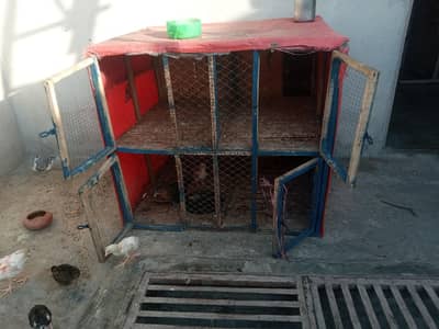 cage pingra for sale 4 chana China gali 0.3. 0.1. 4.1.1. 1. 4.5. 4