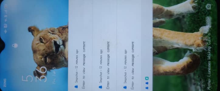 OPPO A15s