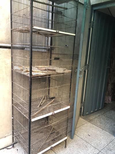 Hen cage