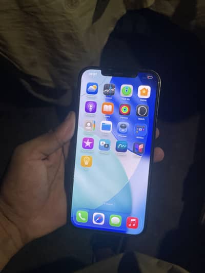 Apple iPhone 12 Pro Max Jv