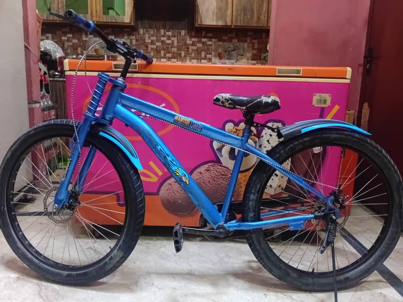 bicycle 4