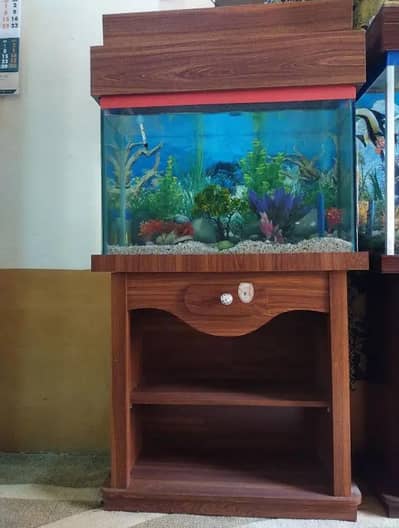 Fish Aquarium