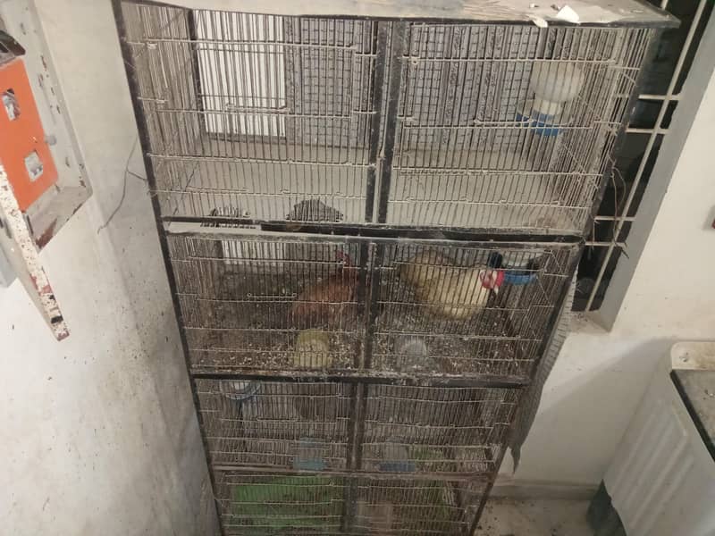 four potion cage 0