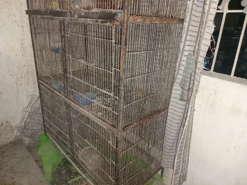 four potion cage — photo 2