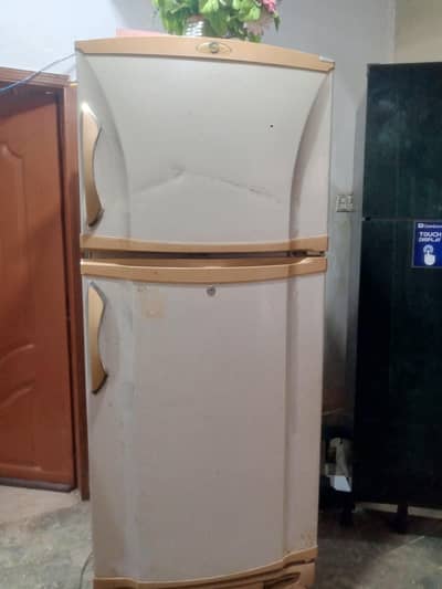 Pel Fridge for Sell