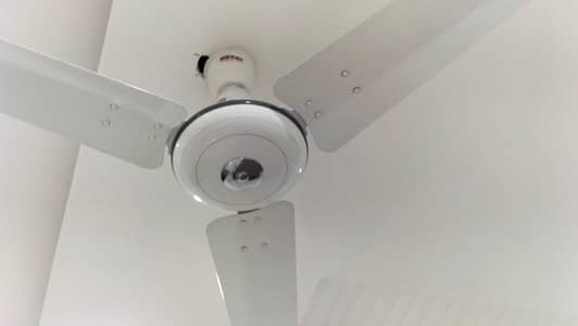 Royal Ceiling Fans for sale - Good Condition - 2 years used