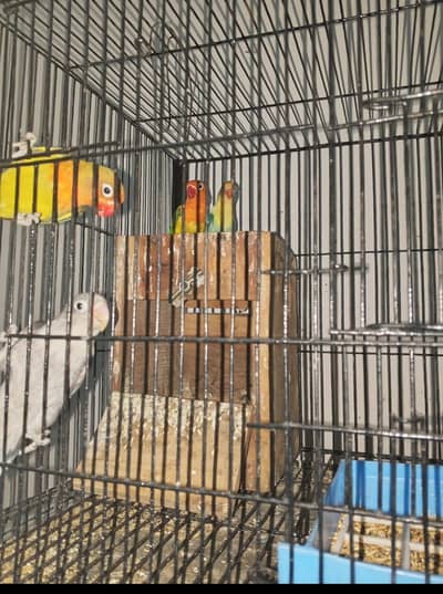 full setup sell with bartan cage every thing