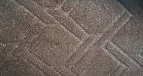 Soft Carpet with Foam Underlay for Sale – Good Condition