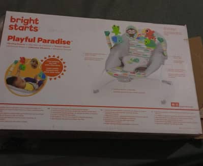 Bright Starts Playful Paradice Vibrating