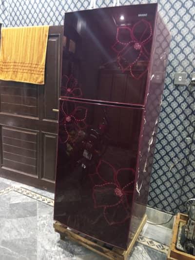 Inverter Fridge for large family