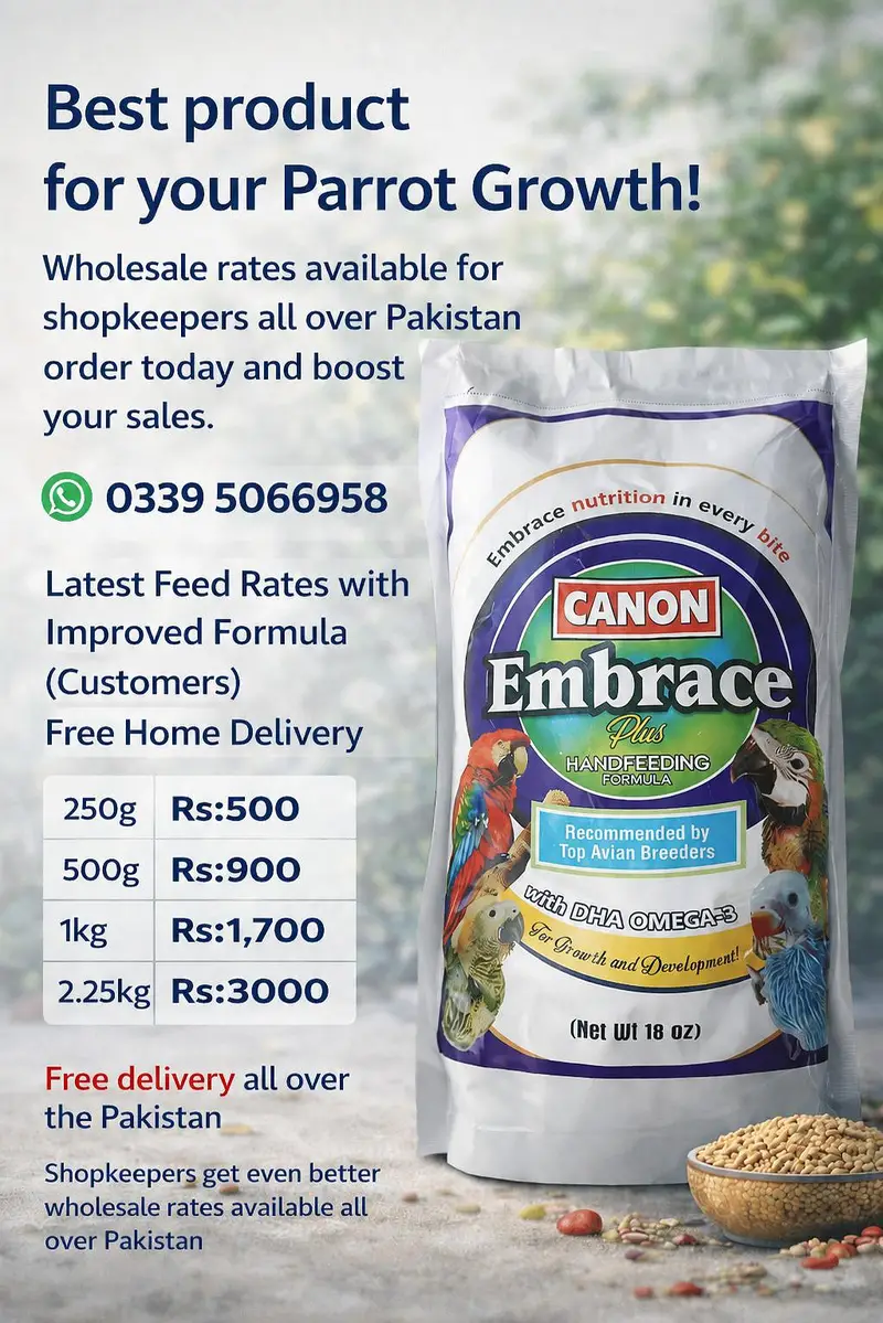 Premium Parrot Food | Handfeeding Formula for Growth | Bird Food