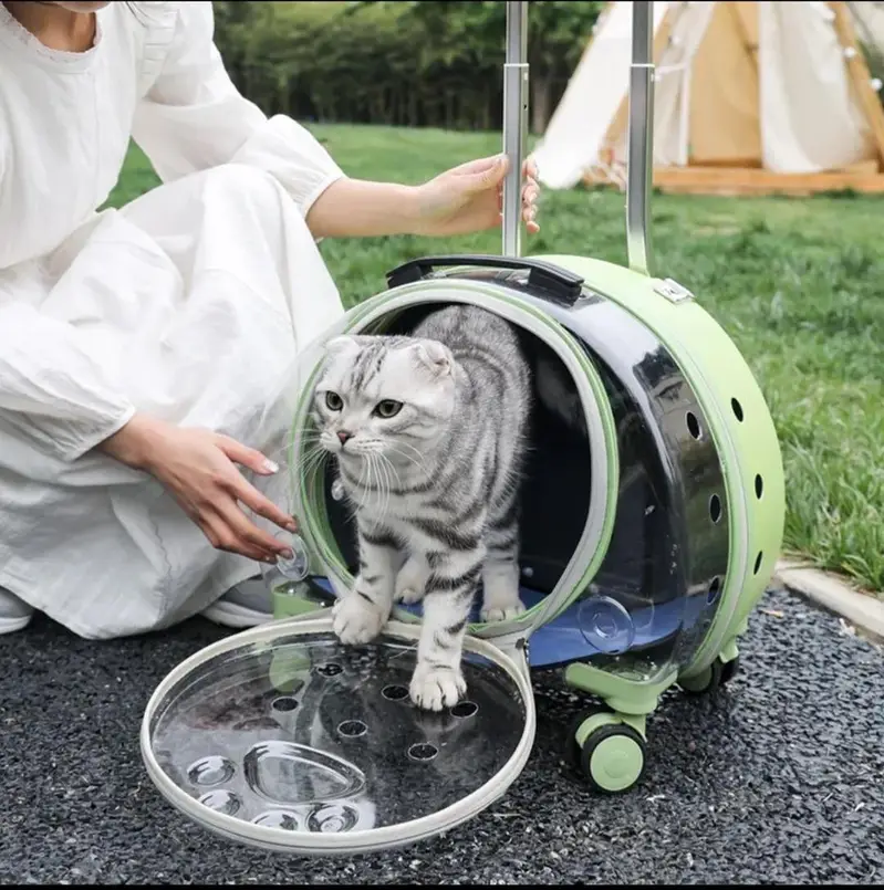 pet travelling trolly backpack 2 in one — photo 2
