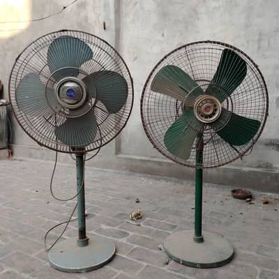 Stand Fan