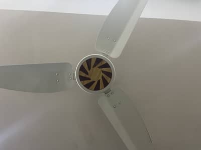 Royal fan for sale