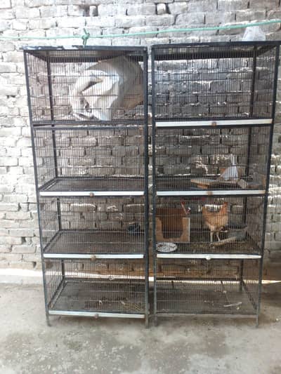 2 best cages