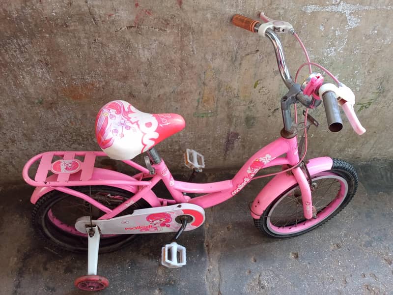 bicycle  1