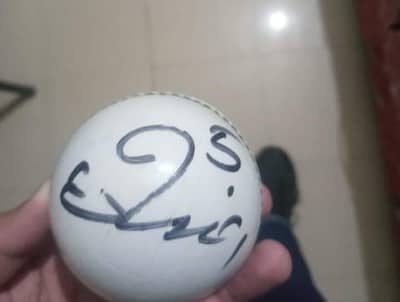 Muhammad Amir Signature hard ball