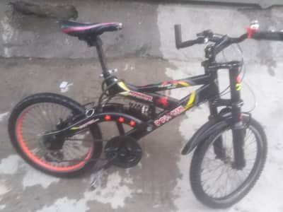 dolphin gear cycle 22size
