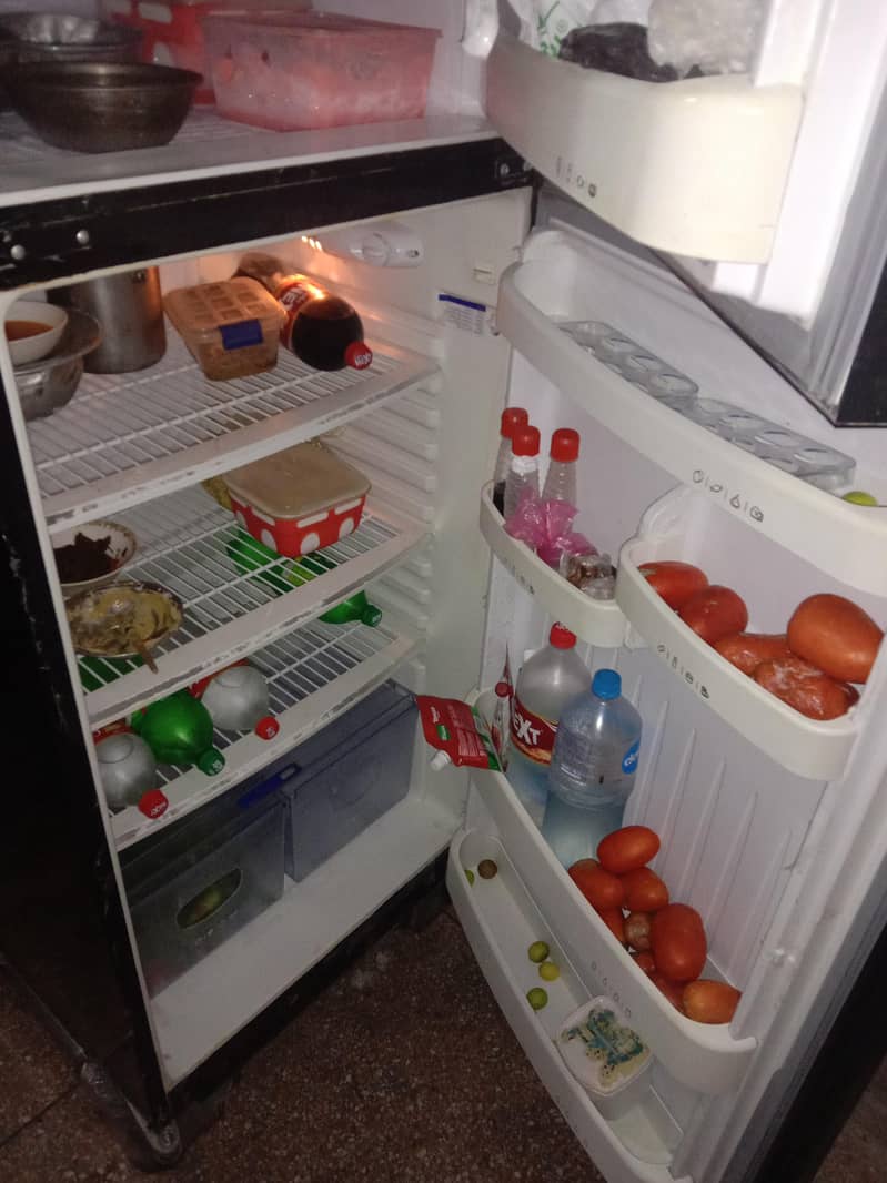 orient full size fridge 3