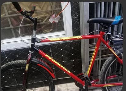new phonex cycle