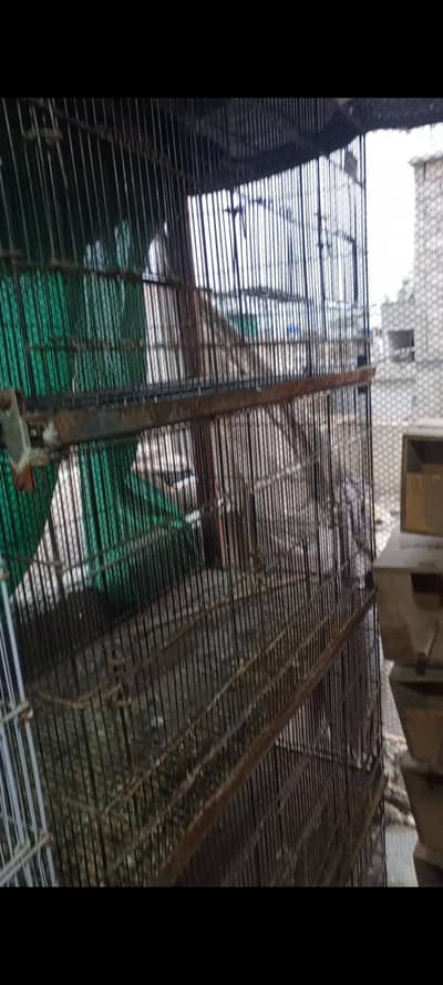 12 portion filding cage 8 portion fix cage
