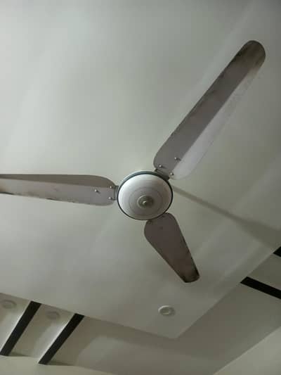 khursheed fan