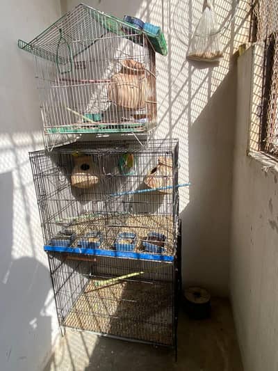 cages for sale