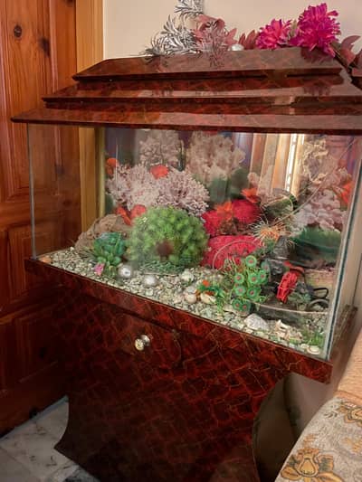 Fish Aquarium