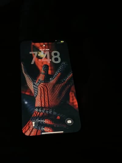 Apple iPhone 12 Pro Max