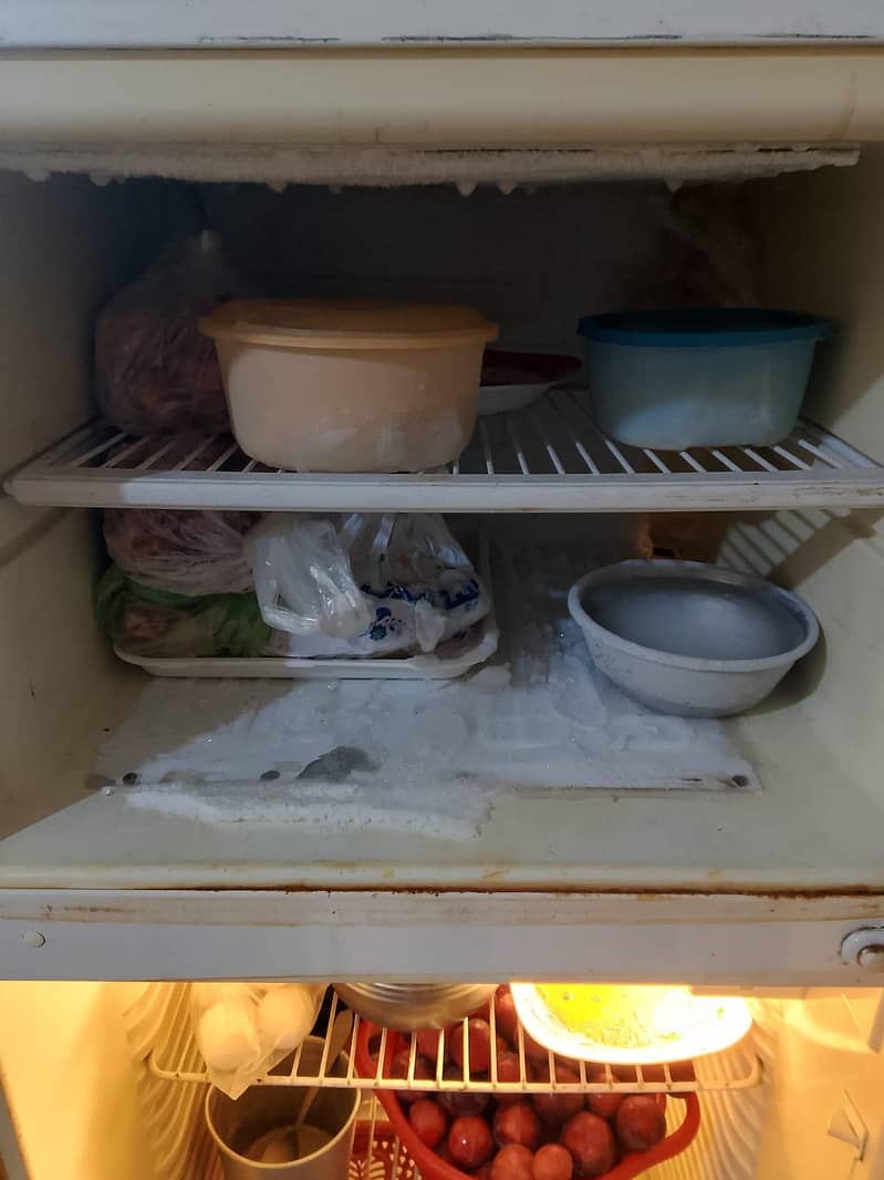fridge 2