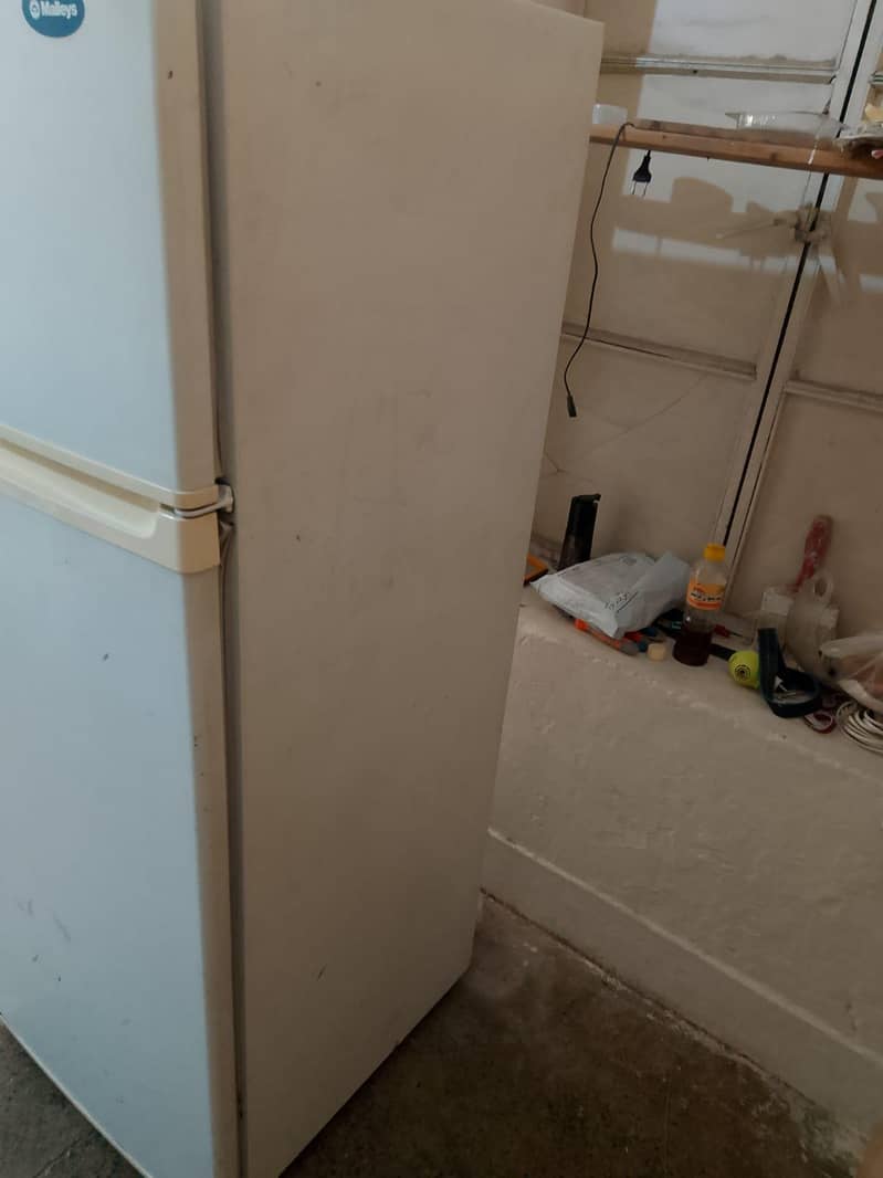 fridge 3