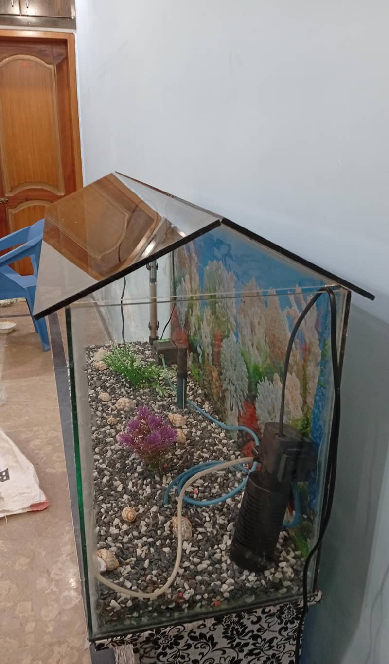 Fish Aquarium complete setup 2