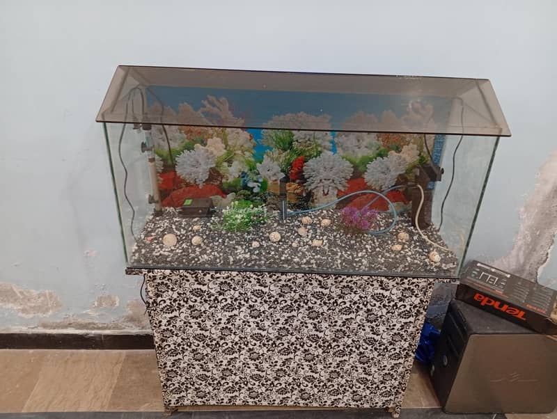 Fish Aquarium complete setup 4