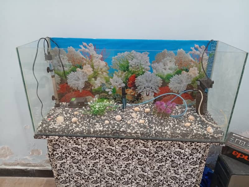 Fish Aquarium complete setup 5