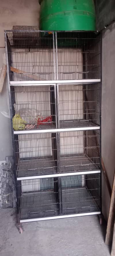 iron cage