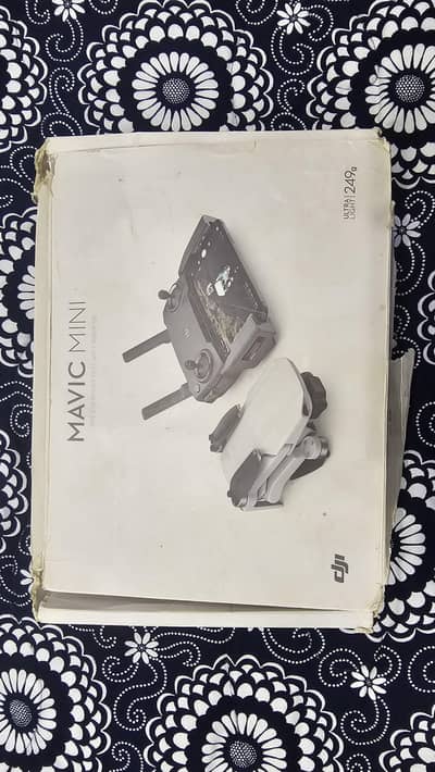 DJI Mavic Mini