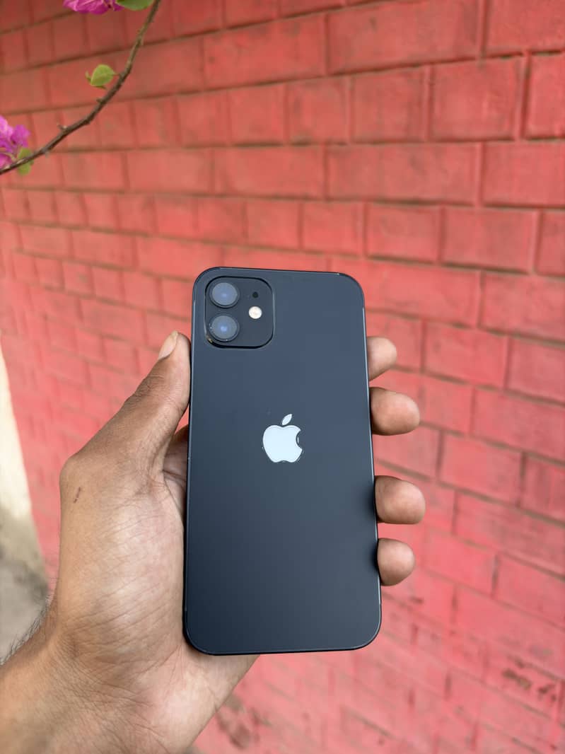 Apple iPhone 12 6