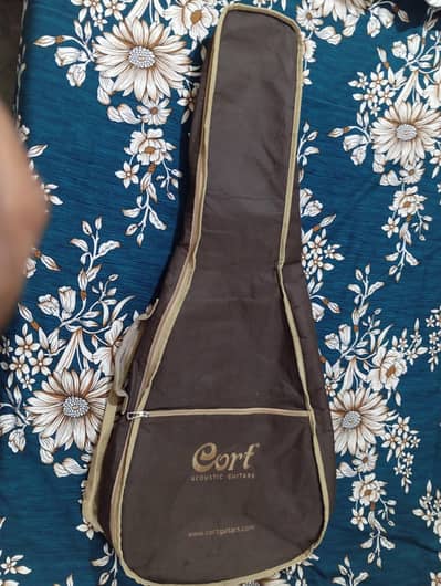 acoustic guitar bag