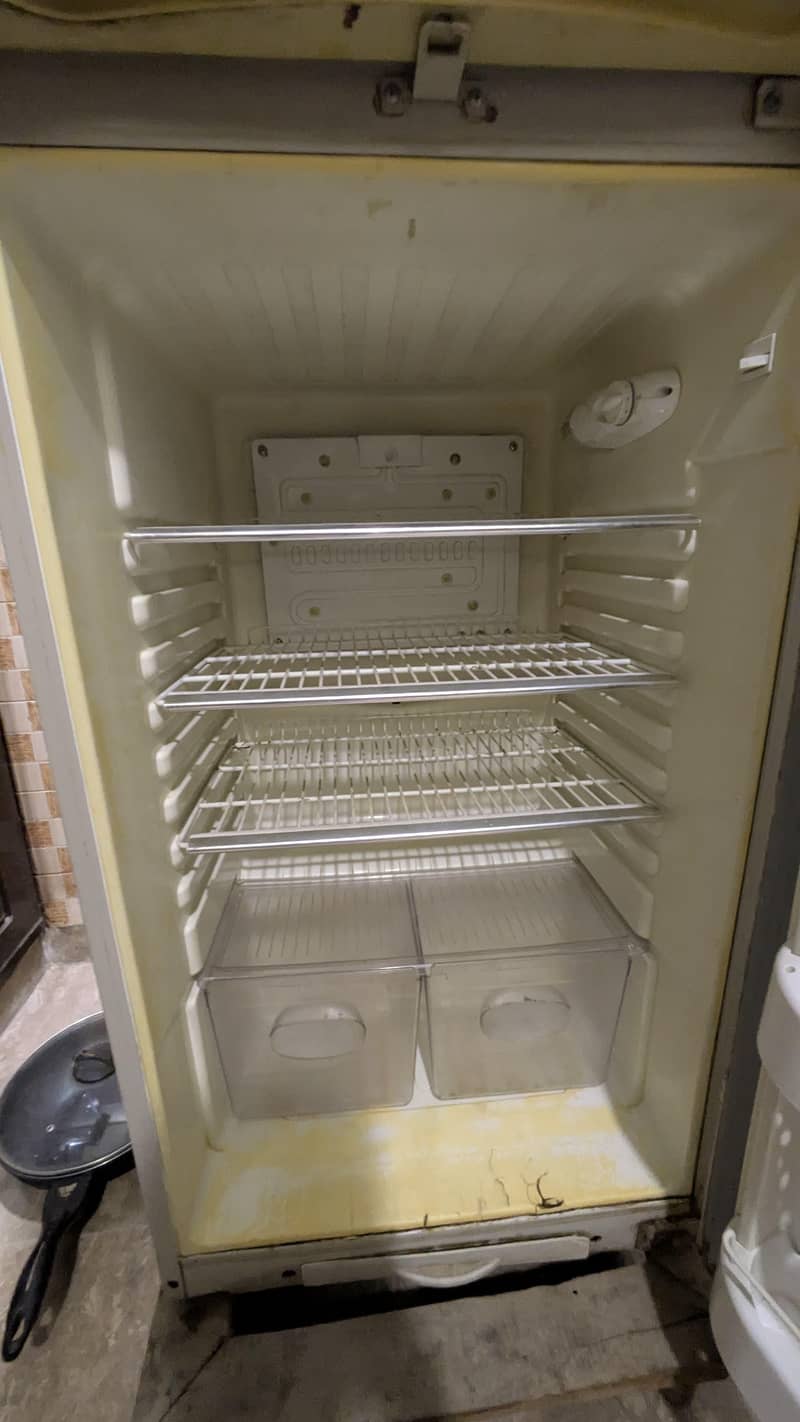 medium size fridge 2