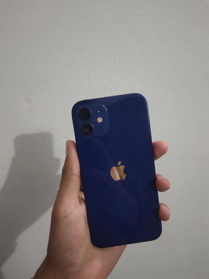 Apple iPhone 12 1