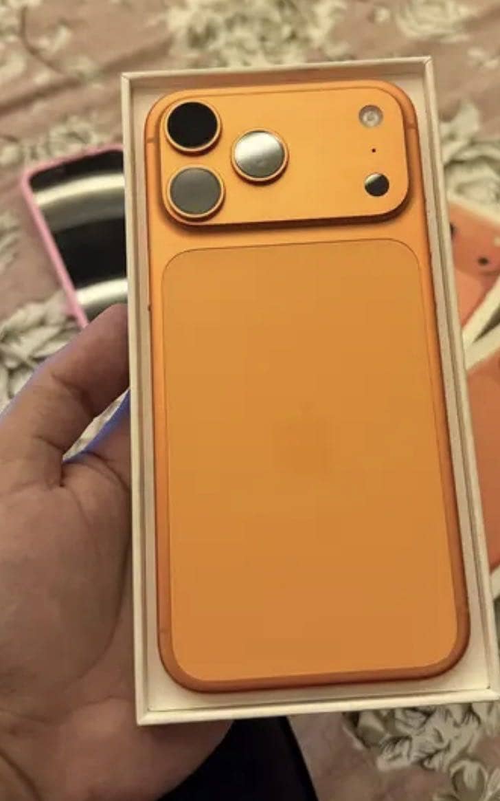 17 pro max 1