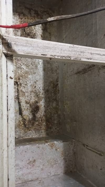 deep freezer