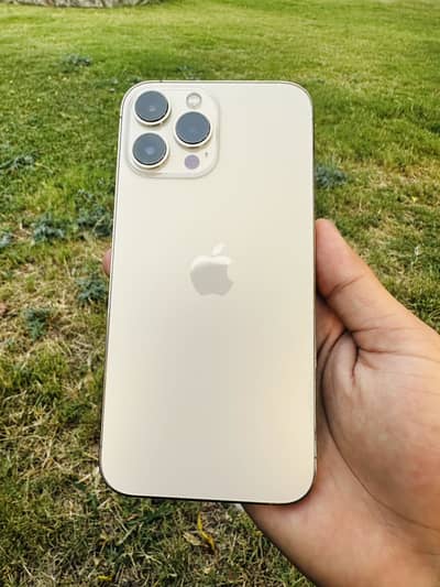 iPhone 13 pro max Non PTA FU