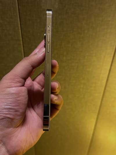 Apple iPhone 12 Pro Max  golden clour
