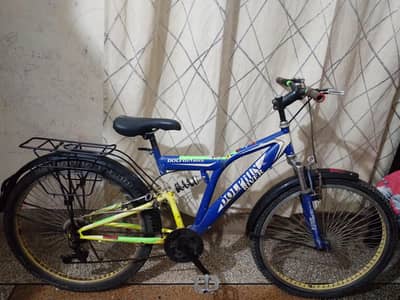 cycle dolphin