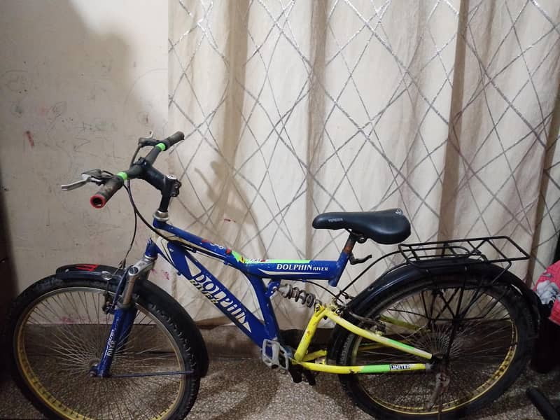 cycle dolphin 1