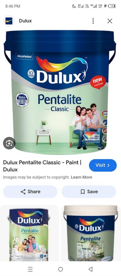 Deluxe ICI paint 16 liter
