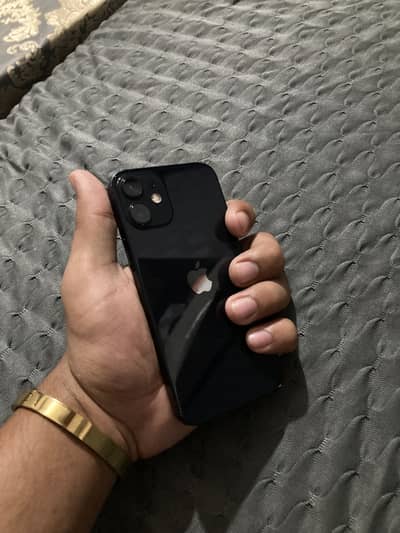 Apple iPhone 12 mini10/10 water pack