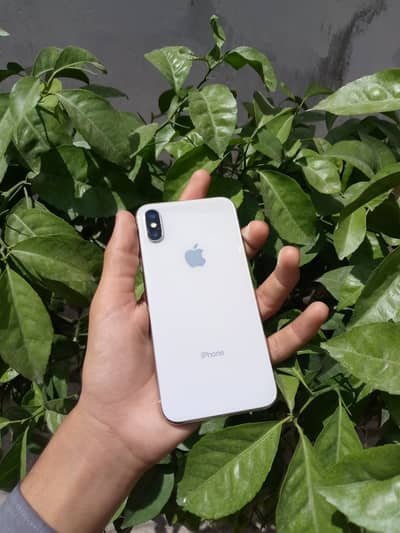 Apple iPhone X