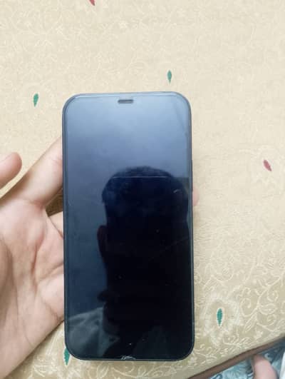 Apple iPhone 12 Non-Pta